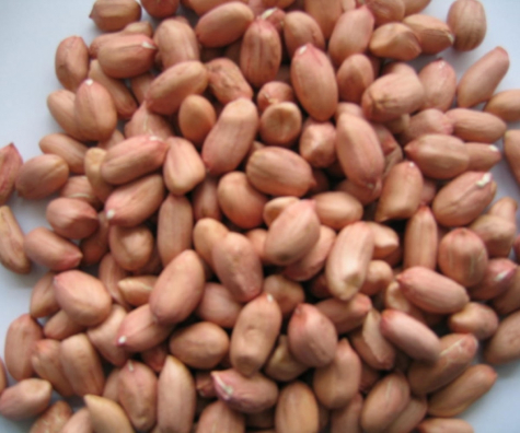 Non-salted peanuts
